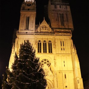 Okićen bor ispred Zagrebačke katedrale